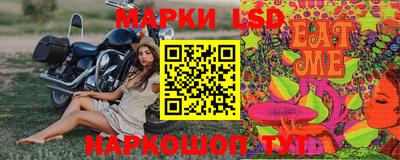 гидра Заводоуковск