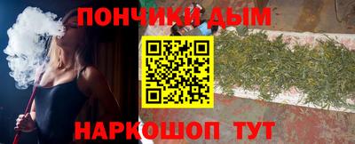 гидра Заводоуковск