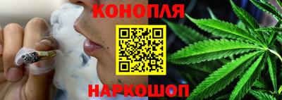 гидра Заводоуковск