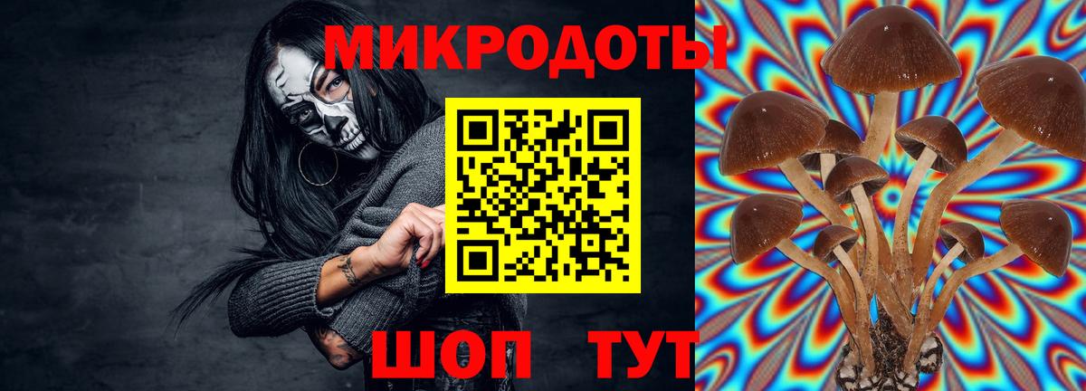 Галлюциногенные грибы прущие грибы  Вход с VPN  Псилоцибиновые грибы MAGIC MUSHROOMS  Луга 